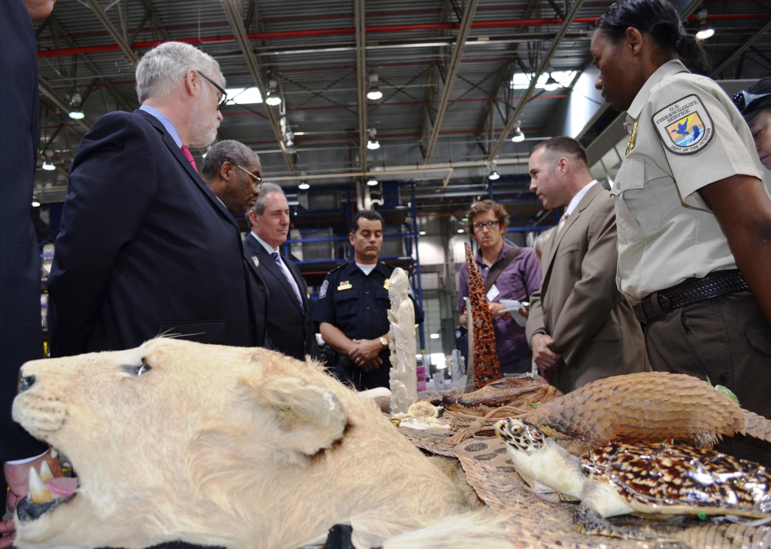 National Strategy To Combat Wildlife Trafficking Implementation Plan